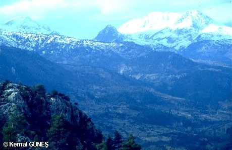 Dağları — Bakir Dagi