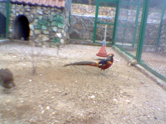 Antalya — Hayvanat Bahçesi
