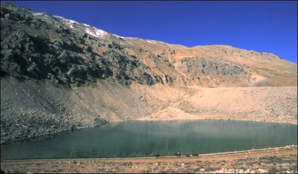 Elmalı — elmalı Gömbe